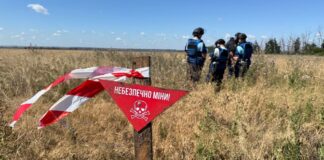 На севере Украины посчитали количество воронок от снарядов. Это первый шаг к ремедиации почв