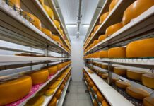 Сумской феномен. Как крафтовые сыроварни растут рядом с Lactalis