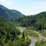 Зеленский анонсировал «новые кадровые подходы» в «Лесах Украины»