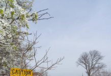 Все исчезли за один день: блогер обнаружил заброшенный район города с пустыми улицами (фото, видео)