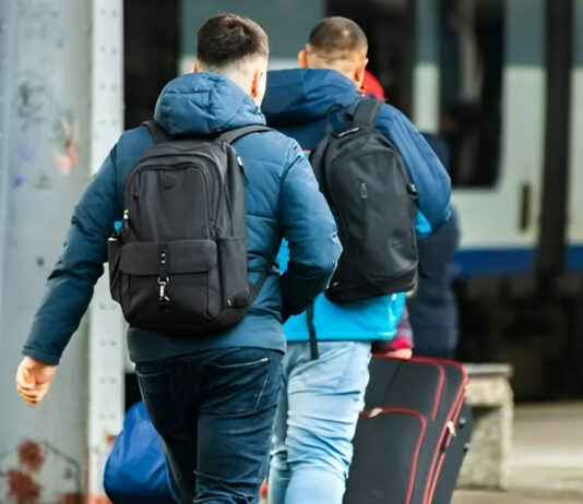 Больше всего в Германии: в ЕС более 1,4 млн мужчин 18-64 имеют временную защиту, — СМИ