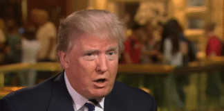 «Вы позор»: Трамп во время интервью по поводу манифеста стрелка возмутился вопросами журналистки