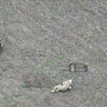 «Убили раненых»: в DeepState показали, как россияне нарушили «Пасхальное перемирие» (видео)