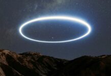 «100% доказательства»: у руководителя ядерной лаборатории в Лос-Аламосе после смерти нашли секретные файлы об НЛО