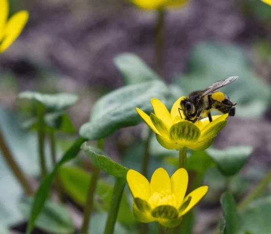 Яка погода очікується в Херсоні та області 4 квітня 2026 року?