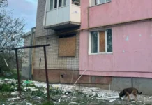 Російські військові безпілотниками атакували одне з селищ у Херсонській громаді. ФОТО