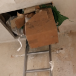 Переселенцы нашли клад в доме, купленном во Франции за 10 тысяч евро: «Стали миллионерами»