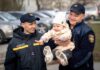 В Одессе спасатели проведали двухлетнюю Каролину: история девочки растрогала Украину (фото)