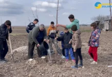 “Мріє вирощувати херсонські кавуни”. Родина з Херсонщини відновлює господарство у Львівській області