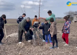 “Мріє вирощувати херсонські кавуни”. Родина з Херсонщини відновлює господарство у Львівській області