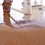 «Это не доказательства»: в Израиле ответили на заявление Украины относительно судна с краденым зерном