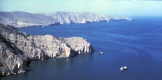 США привлекли более 15 военных кораблей к блокаде Ормузского пролива, — WSJ