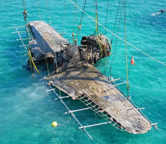 Пролежал там более 80 лет: ученые подняли со дна японский истребитель Shiden Kai (фото)