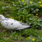 Погода в Херсоні та області 27 квітня: що очікувати?