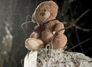 Окупанти заявляють, що в Олешківському психоневрологічному дитячому інтернаті перебувають 53 дитини