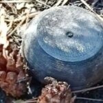 Російські міни виявили поблизу херсонської школи