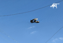 Зранку російські військові атакували таксі у Херсоні: поранена лікарка