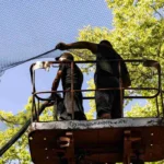 Скільки людей працює над закриттям доріг та об’єктів сітками на Херсонщині