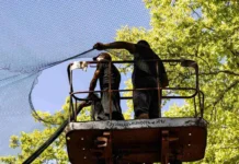 Скільки людей працює над закриттям доріг та об’єктів сітками на Херсонщині