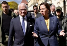 Король Швеції зустрівся з представниками Зміївки Херсонської області