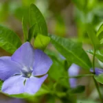 Яка погода очікується в Херсоні та області 19 квітня 2026 року?