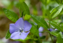 Яка погода очікується в Херсоні та області 19 квітня 2026 року?