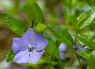 Яка погода очікується в Херсоні та області 19 квітня 2026 року?