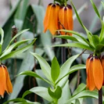 Погода в Херсоні та області 29 квітня: що очікувати?