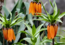 Погода в Херсоні та області 29 квітня: що очікувати?