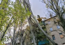 У Херсонській ОВА просять повідомляти про обірвані проводи чи повалені дерева
