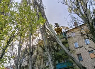 У Херсонській ОВА просять повідомляти про обірвані проводи чи повалені дерева