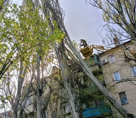 У Херсонській ОВА просять повідомляти про обірвані проводи чи повалені дерева