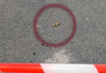 «Становлять небезпеку й для професіоналів”. Скільки людей на Херсонщині підірвалися на мінах