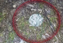 У Херсоні фіксують нові небезпечні міни та атаки дронами, — ХМВА