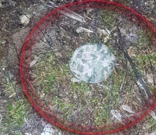 У Херсоні фіксують нові небезпечні міни та атаки дронами, — ХМВА