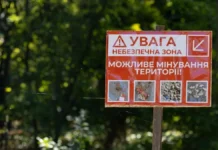 У передмісті Херсона фіксують мінування в районі кладовища