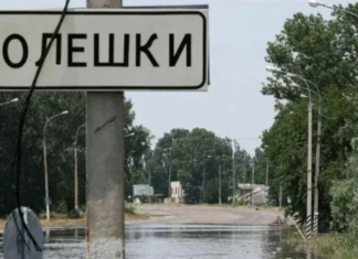 В окуповані Олешки на Херсонщині дісталися авто з продуктами, – очільниця МВА Гасаненко