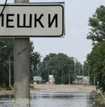 В окуповані Олешки на Херсонщині дісталися авто з продуктами, – очільниця МВА Гасаненко