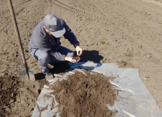 Загинуло від 5% до 8%. На Херсонщині перевірили, як шкідники пережили зиму
