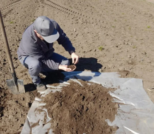 Загинуло від 5% до 8%. На Херсонщині перевірили, як шкідники пережили зиму
