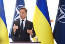 Рютте сообщил, что пригласил Зеленского на саммит НАТО в Анкаре 7-8 июля