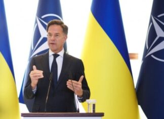 Рютте сообщил, что пригласил Зеленского на саммит НАТО в Анкаре 7-8 июля