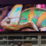 Какой Mini LED телевизор выбрать: эксперт сравнил TCL X11L и Hisense U8QG (фото)