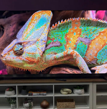 Какой Mini LED телевизор выбрать: эксперт сравнил TCL X11L и Hisense U8QG (фото)