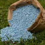 США хотят, чтобы Украина помогла смягчить ограничения по белорусским удобрениям – СМИ