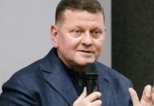 Изменения на фронте в Украине изменили парадигму способов ведения войны – Залужный на безопасности Lennart Meri Conference