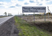Польові дороги