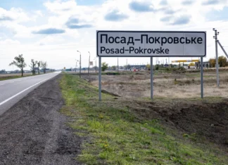 Польові дороги