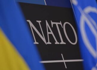Заседание Совета Украина-НАТО пройдет в формате неформального ужина 21 мая