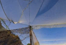На Херсонському автовокзалі беруть плату за заїзд під антидронову сітку. Що відомо?